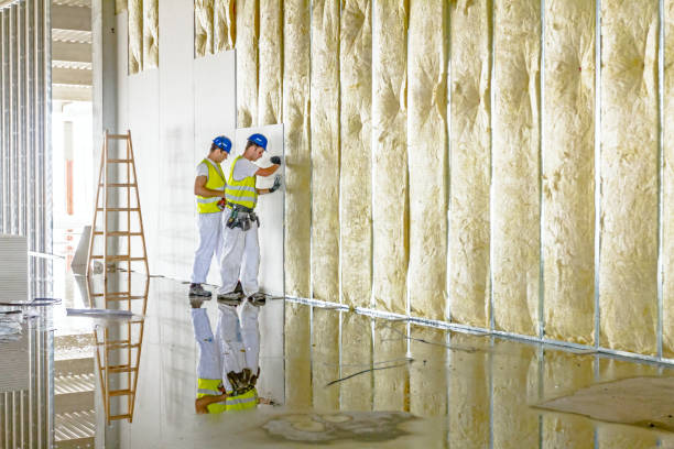 Best Insulation Replacement Services  in Rossville, KS